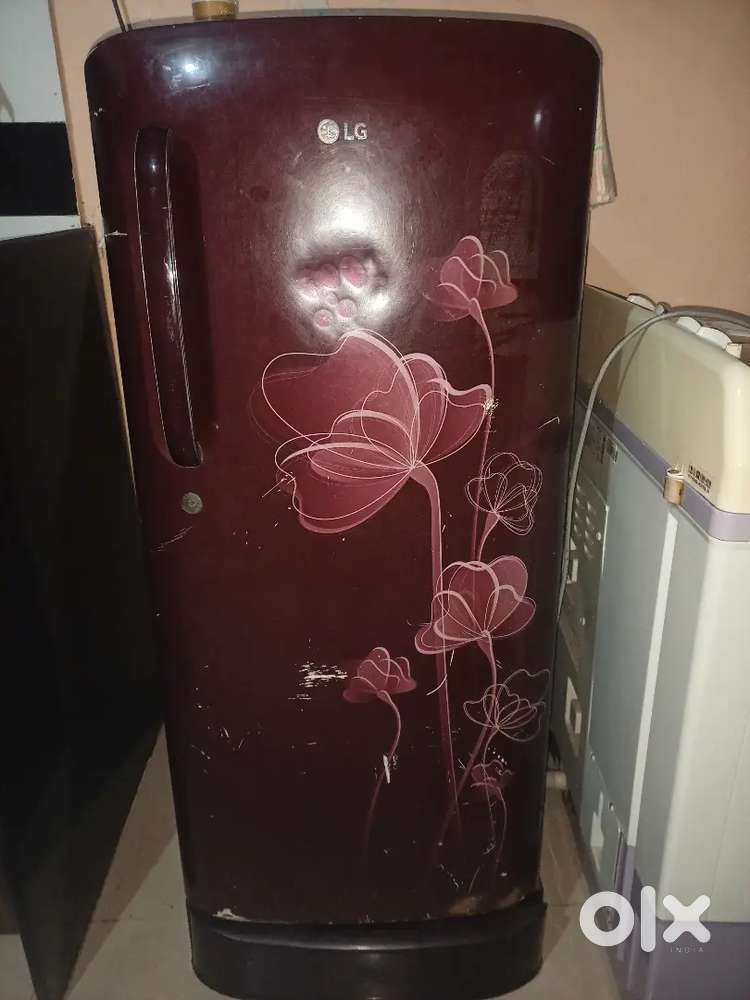 LG 2019 Refrigerator