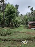 80 cent land for sale Padiyoor