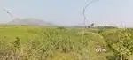 Road side land - Salur Jeypore Vijayanagaram road