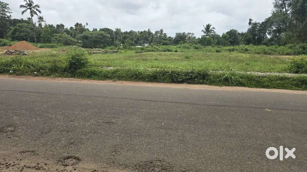 Nedumbassery near athani mekkad 12 cent main road frontage for sale