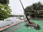 26Cent Water Frontage Land With 2BHK House In Vaduthala