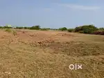 DTCP APPROVED RE-SALE PLOTS SALE NEAR SRIPERUMBUDUR