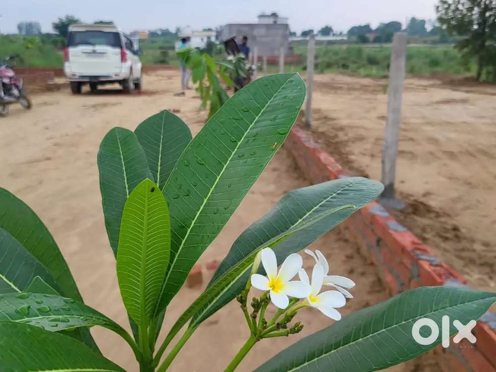 आउटर रिंग रोड से नजदीक अप्रूव्ड प्रोजेक्ट बुलडोजर से मुक्त