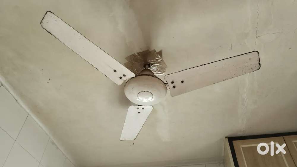 Ceiling fan