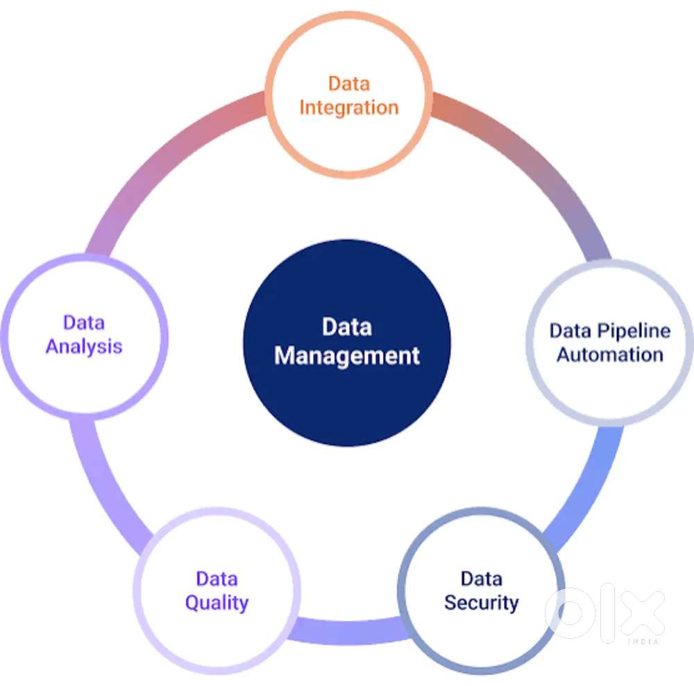 Data entry and Store management .