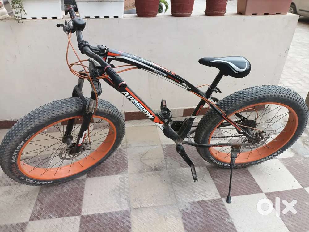 Appgrow Fat bike
