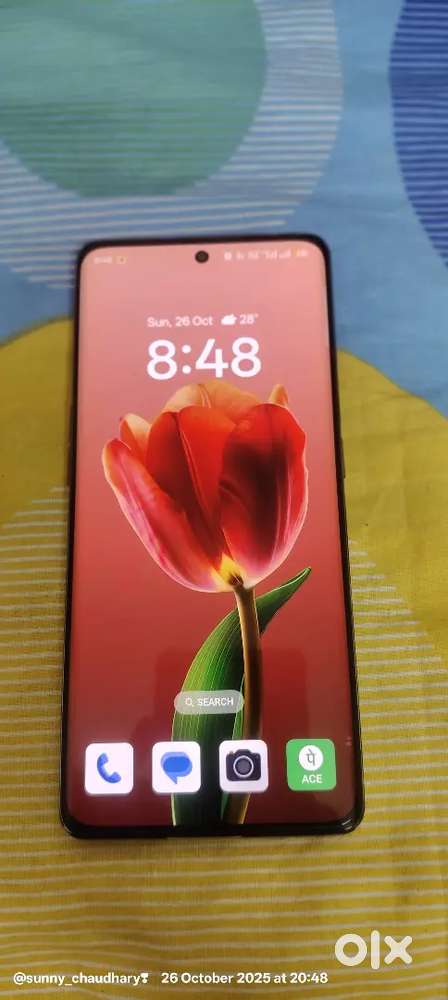 OPPO RENO 8T 5G 8/128