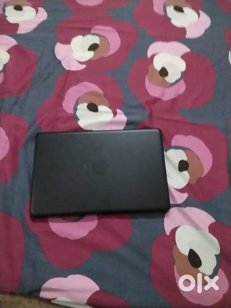 Laptop you need