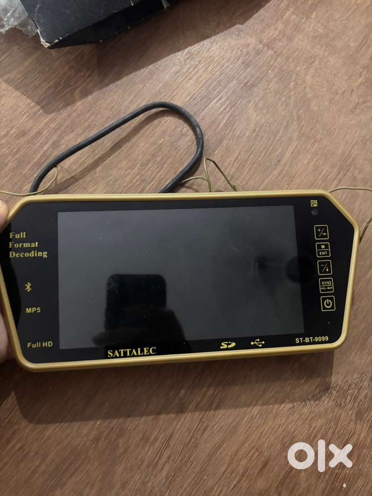 portable multimedia player / car display monitor