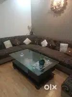 Pandri 5 BHK full furnished banglow available for rent out