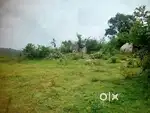 Agriculture land for saling at thattekere maralavadi