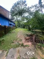 kalain shyama prasad lane