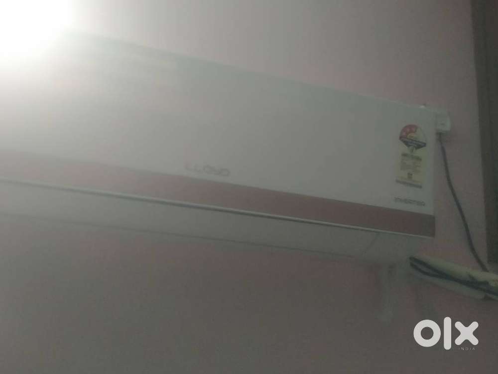 Ac havills company Lloyd