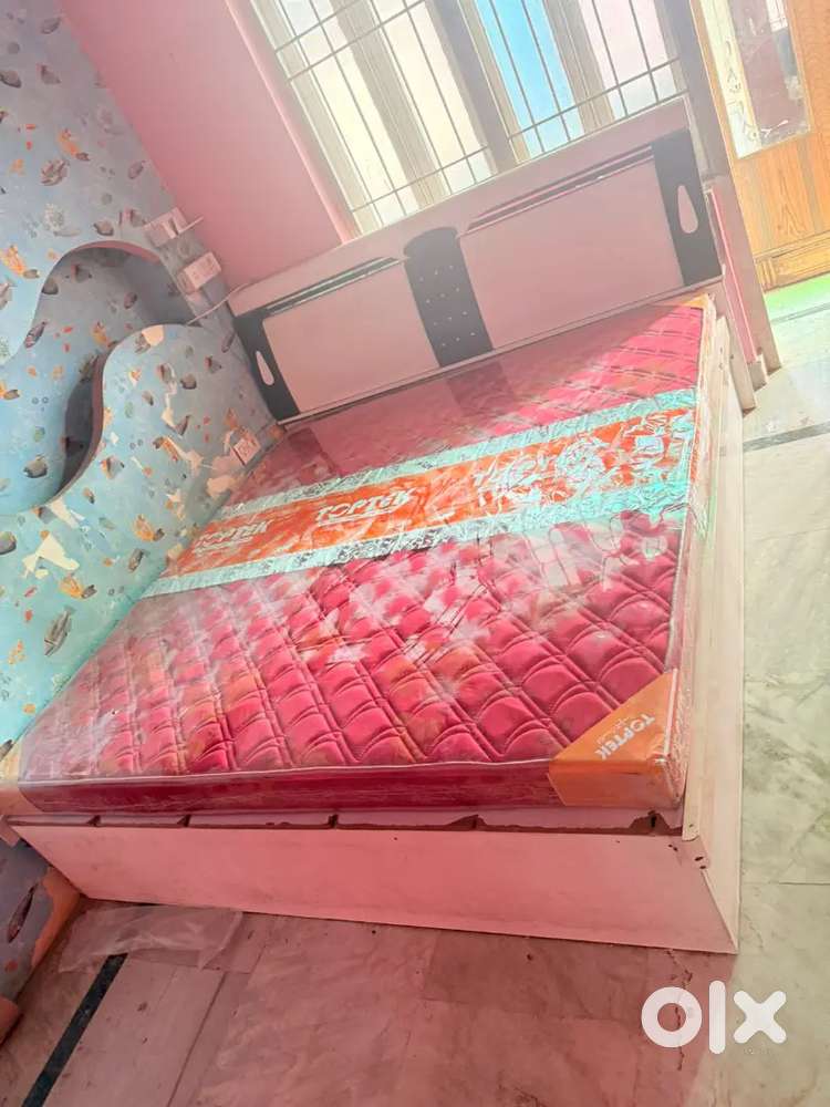 Need a female flatmate separate room and share kitchen