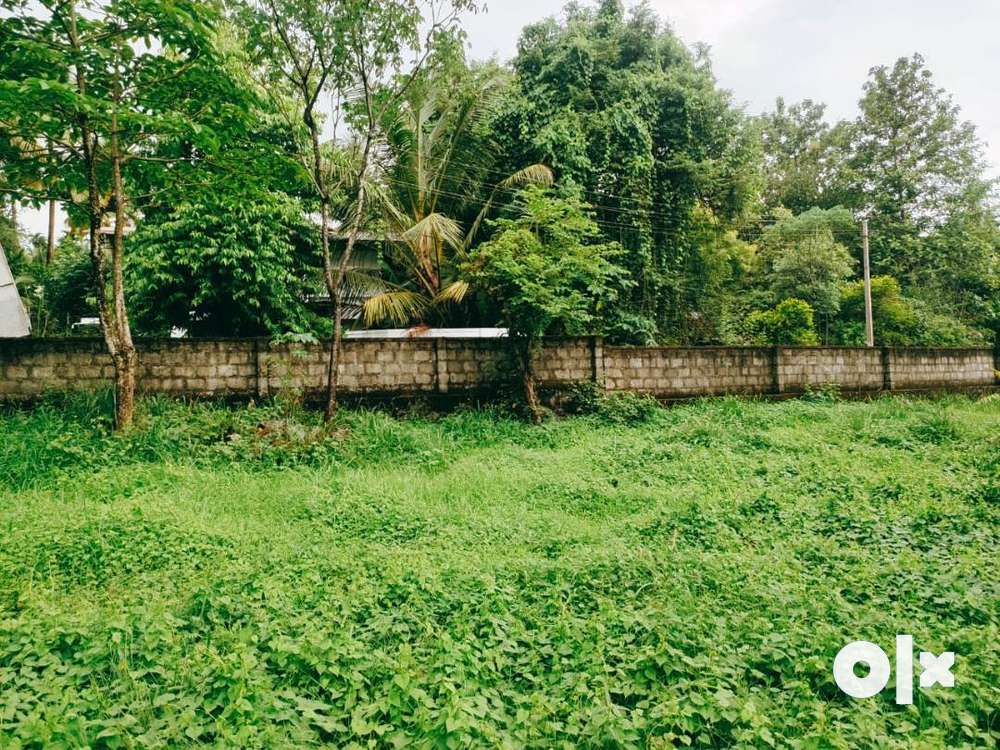 200meter Amalanagar  10cent Residential land –Thrissur