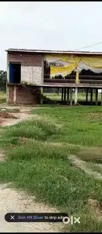 Layer poultry farm