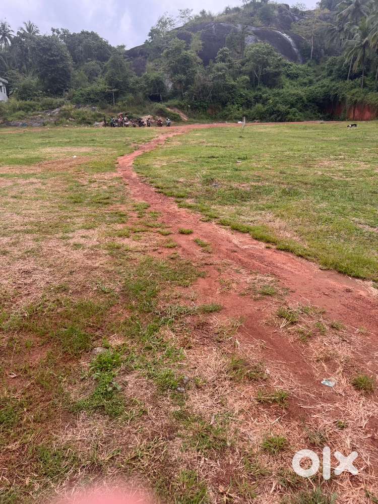 House plote For sale