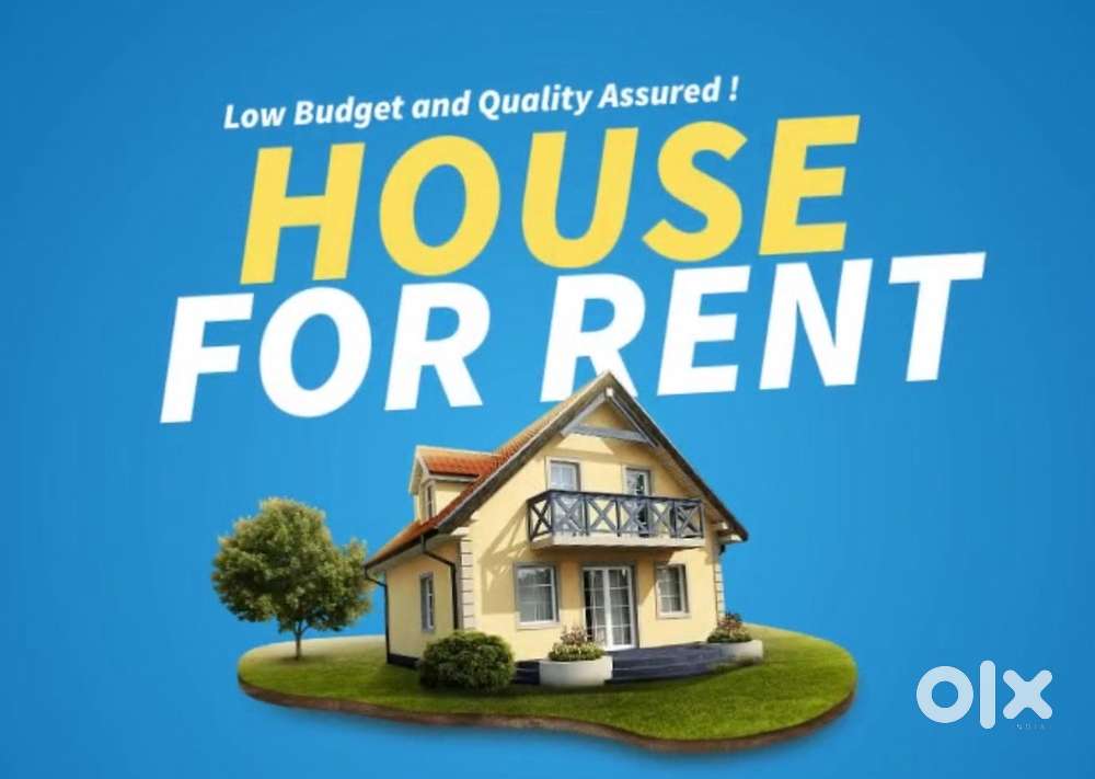 Individual house for rent