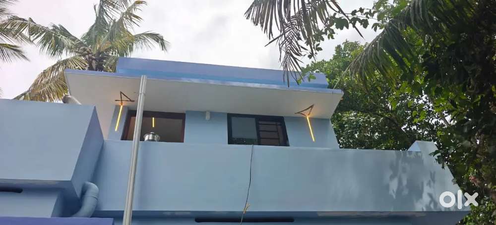 SD PAINTINGS & RENOVATION