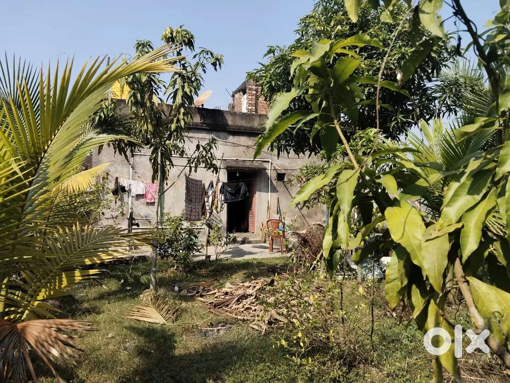 Road side house,Land total 4,573.8square feet, house 1200 square feet