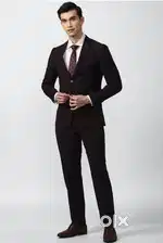 Peter england suit