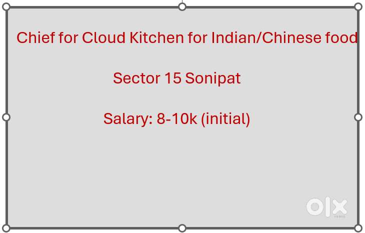Chef for Indian & Chinese Food