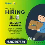 Delivery Executive