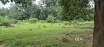 Kudumkela Gharghoda Raigarh