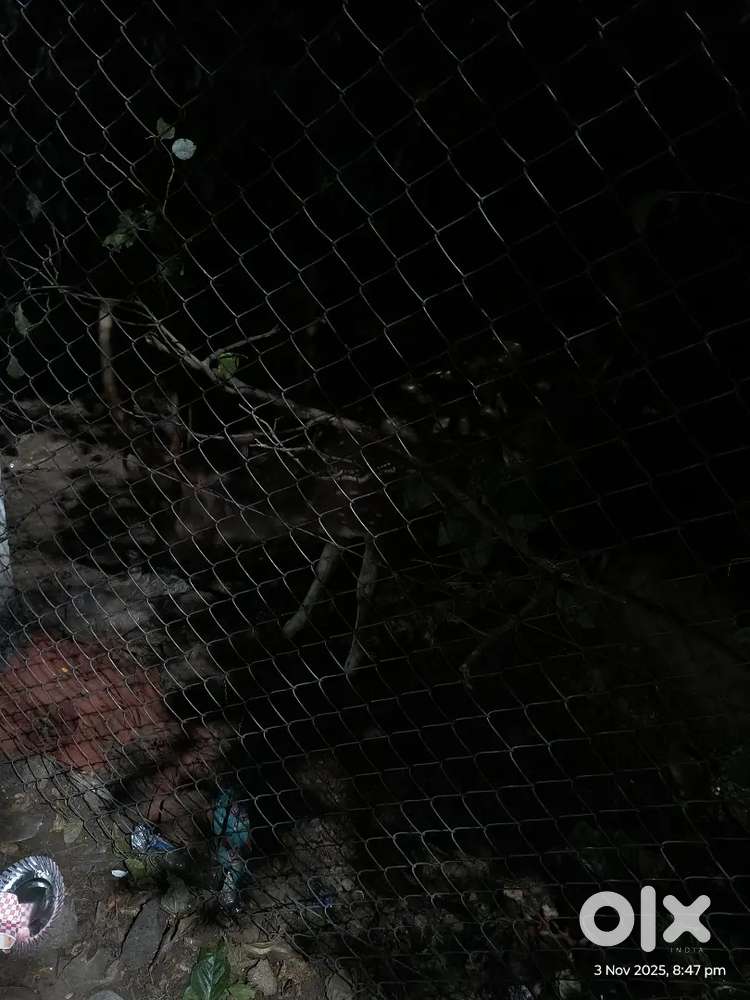 Sales executive in furniture store