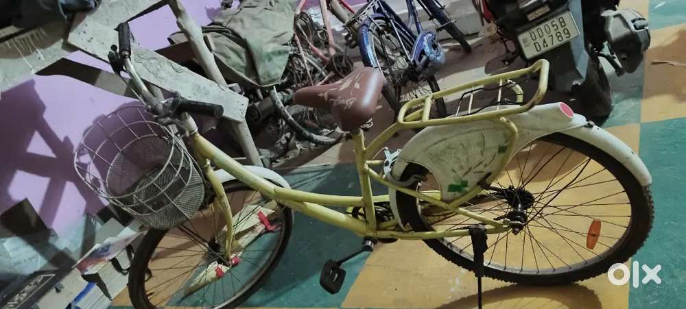 Ladies butterfly cycle