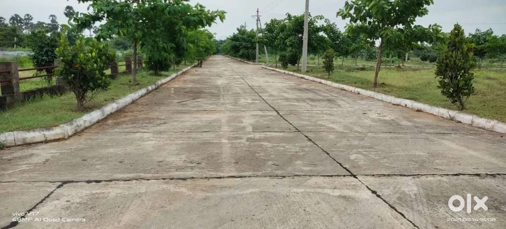 SONTYAM TO KOTHAVALASA