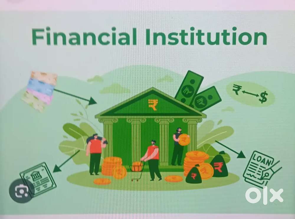 COLLECTION EXECUTIVE