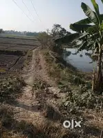 Land for sale in purnea bihar at good location