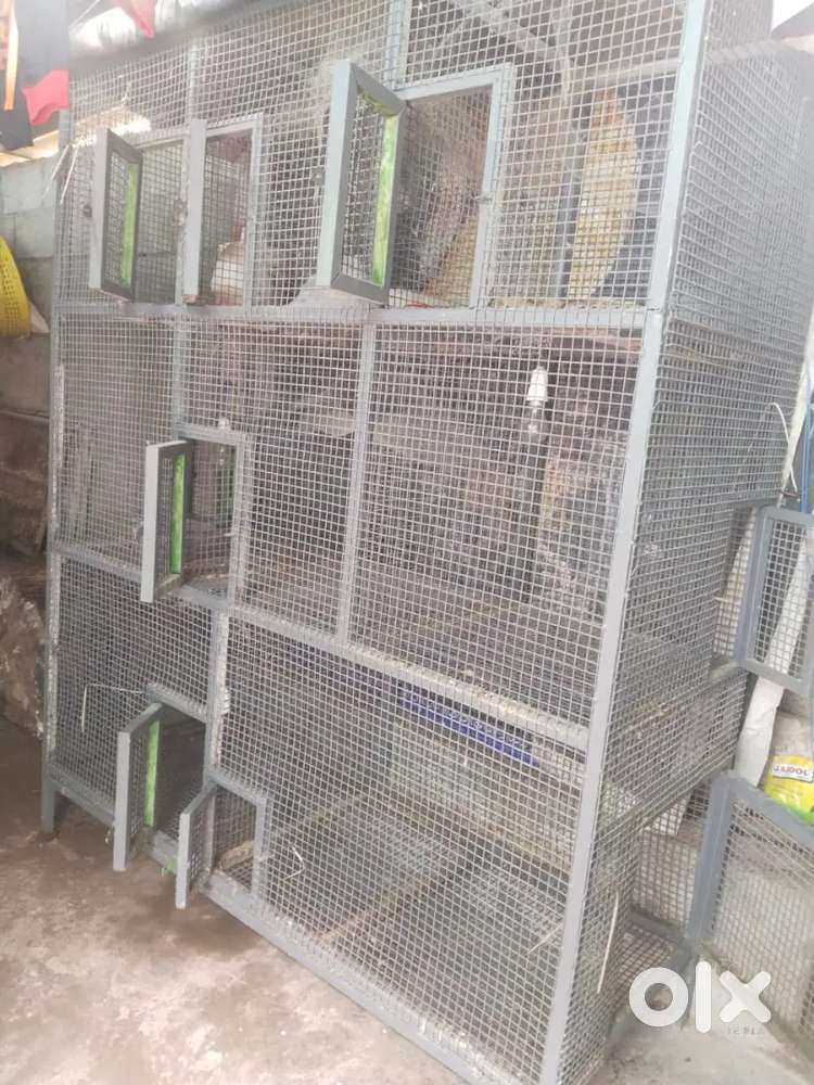 പെട്സ് കുടു