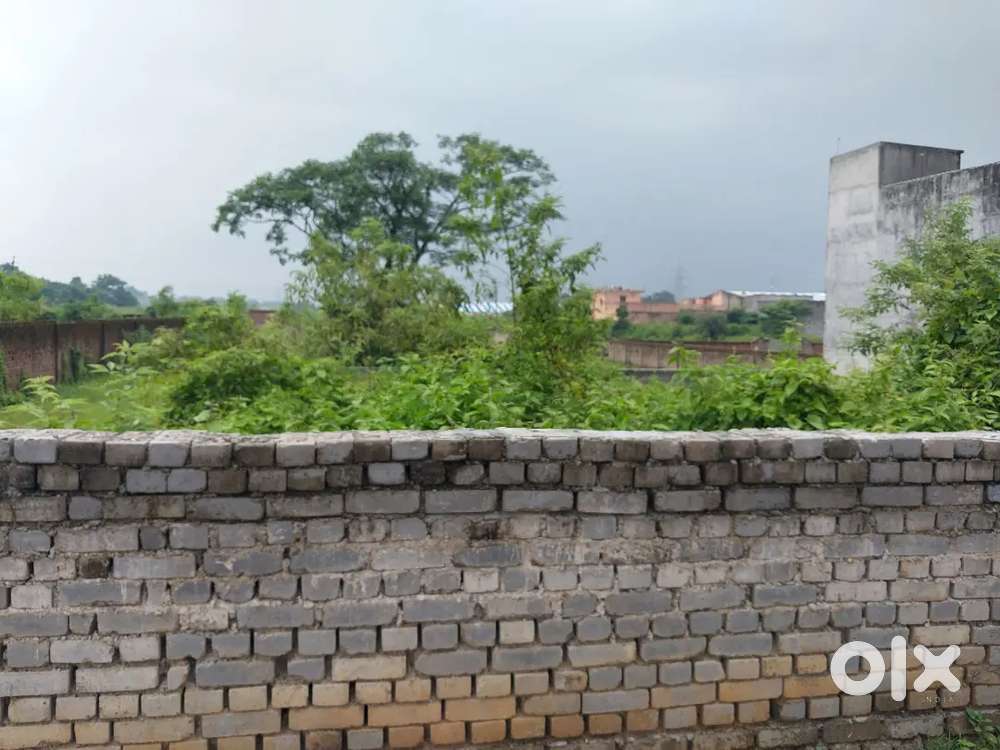 23 Decimal Comercial Plot Is on Sale