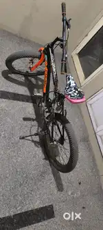 Sale my bicycle