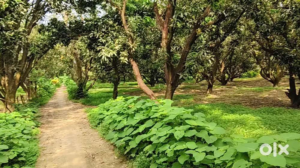 शांत जगह पर शहर से कुछ ही दूर पर फ्रॉम हॉउस के लिए जमीन खरीदे