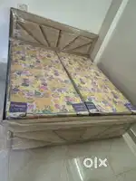 1bhk full furnished flat for rent in Chattarpur
