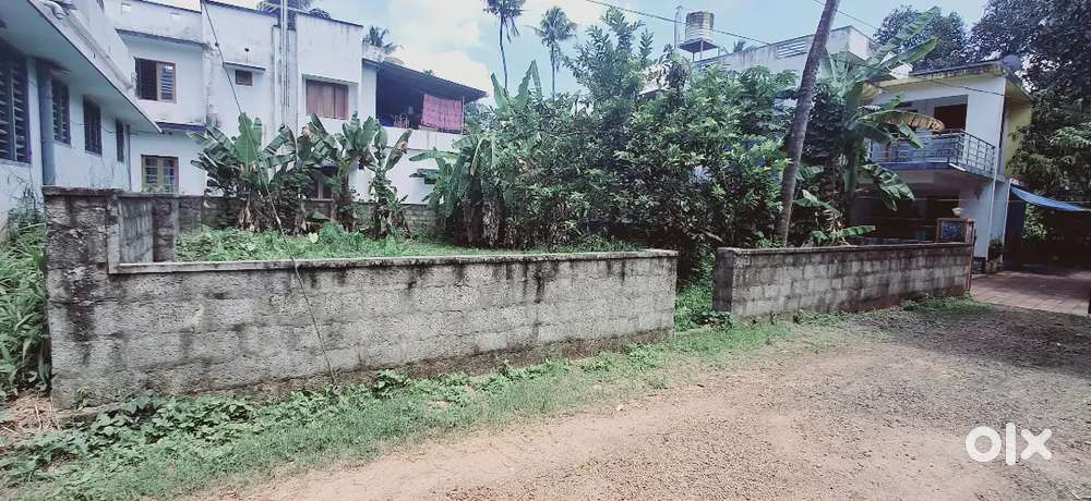 5 CENT HOUSE PLOT FOR SALE NEAR KIZHAKKAMBALAM NJARALLOOR