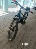 Rodeo Non geared cycle 26t
