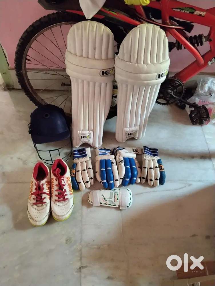 Cricket kit
