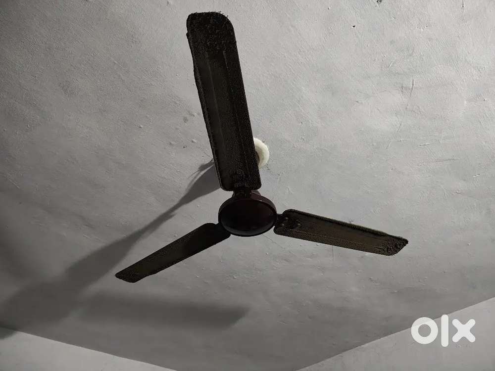 ORPAT Ceiling Fan