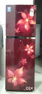 Voltas Beko Double Door Refrigerator 3 Years Old, Excellent Condition”