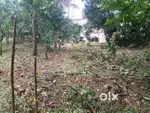 15 Cent House Plot Near Kalpetta