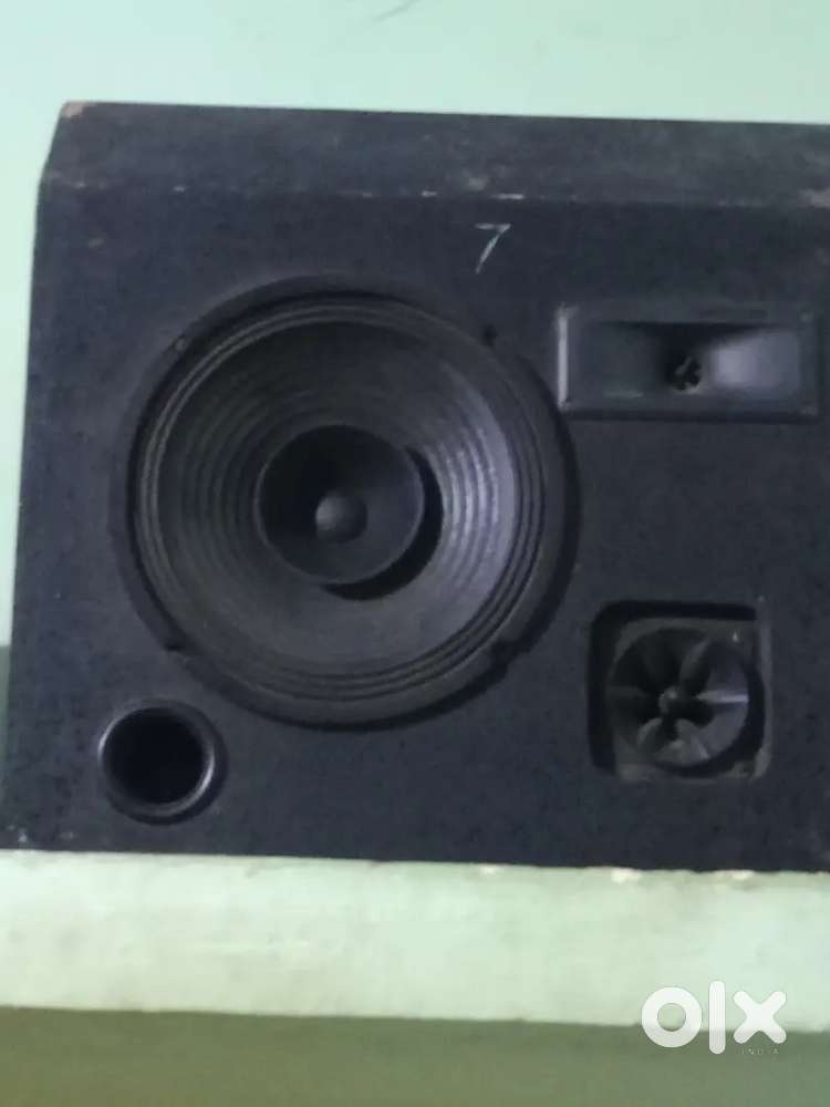 Subwoofer 10 inch speker