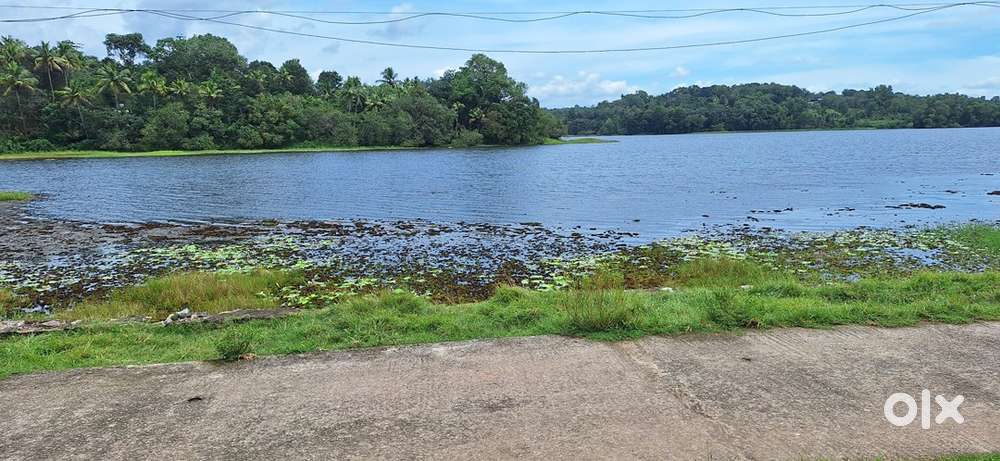 Lakefront Plot for Sale near Munroe Island - East Kallada(Padapuzha)