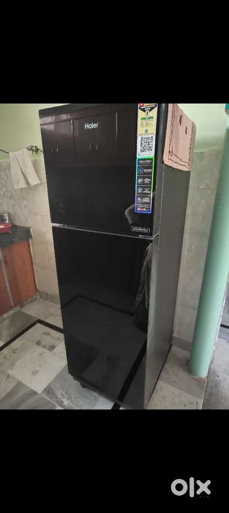 Haier 240 lts Double Door Fridge