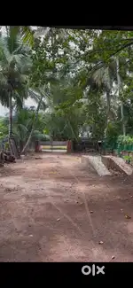 Commercial land for long leasing