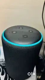 Alexa Echo