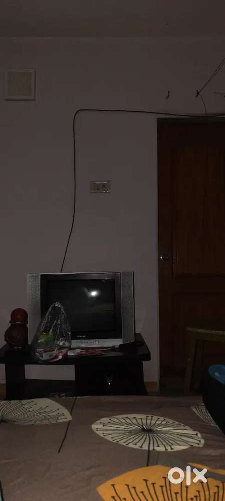 Samsung flat television